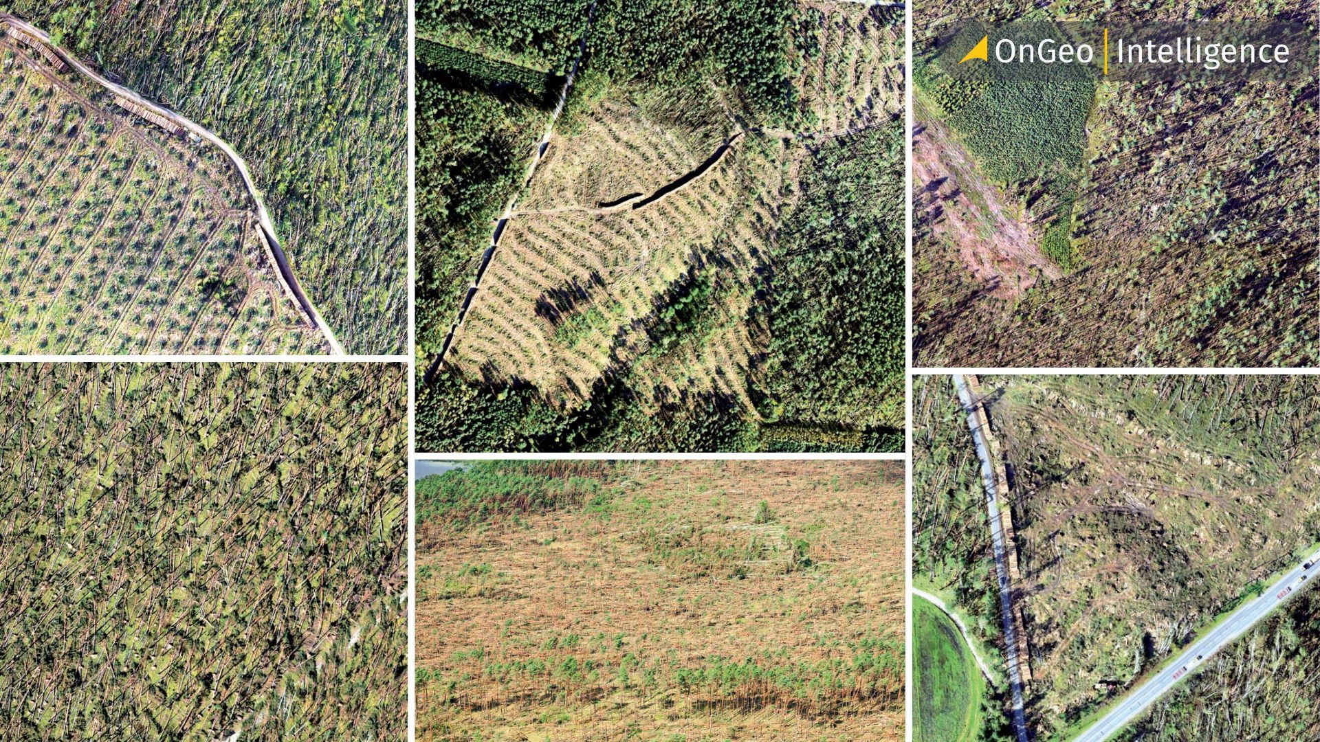 Deforestation of the Amazon from space - How are satellite reports portraying it