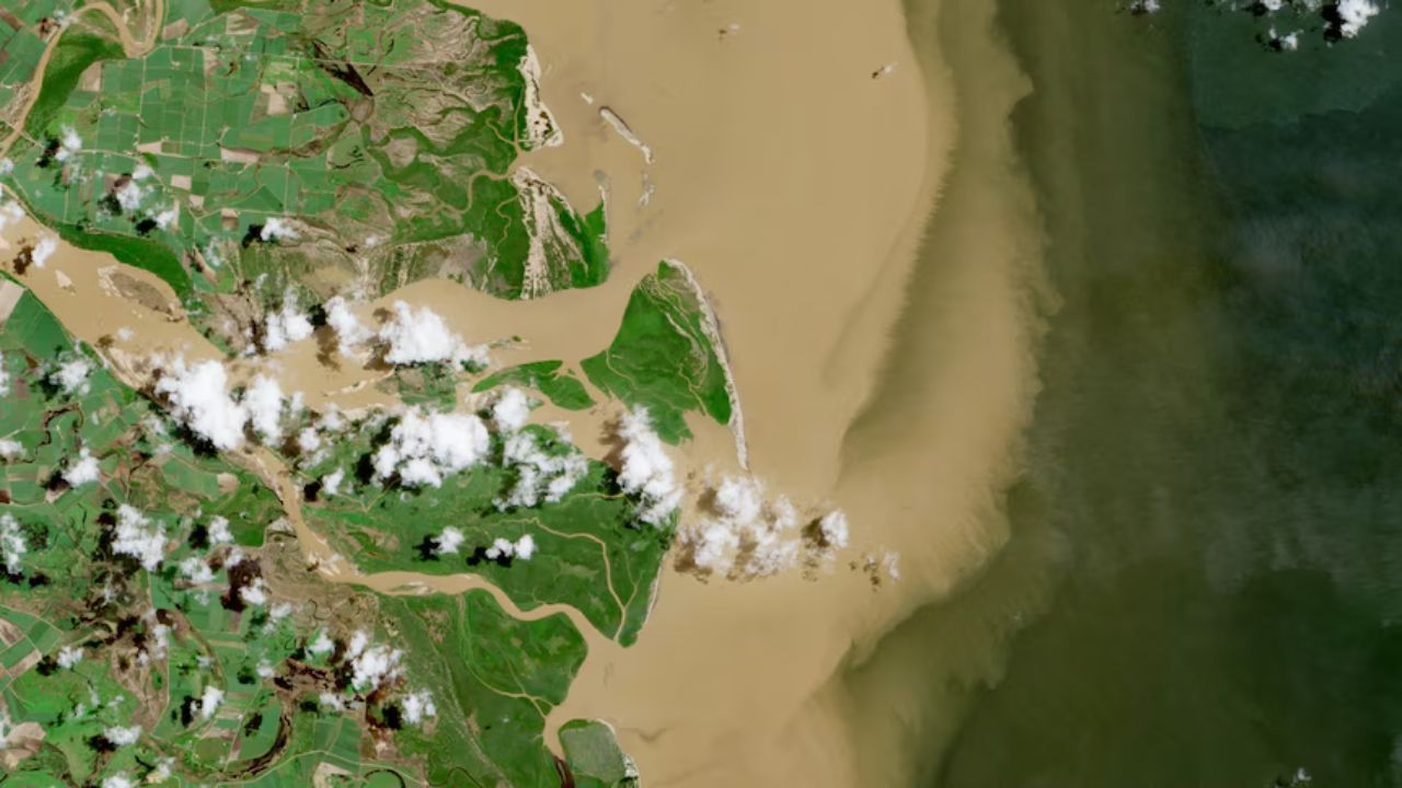 Flood plume from the Burdekin River captured on February 18, 2025.jpg