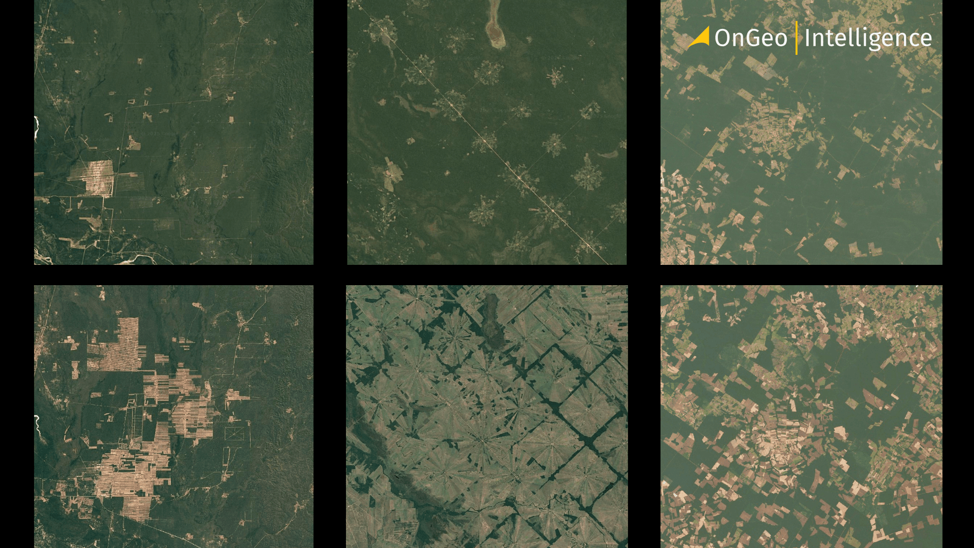 How Satellite Imagery Supports Forest Management
