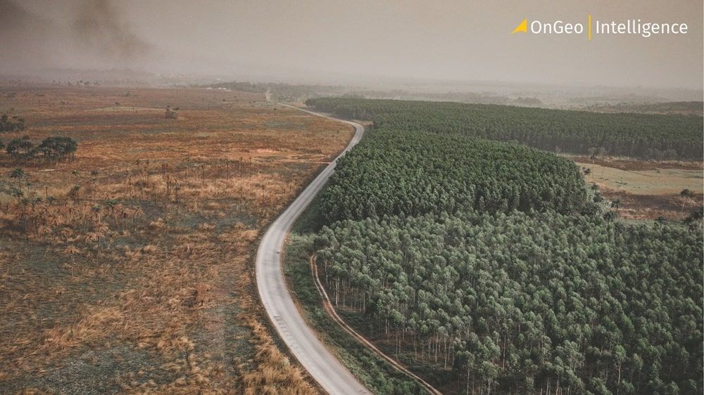 How Satellites are Becoming Our Best Weapon Against Deforestation.