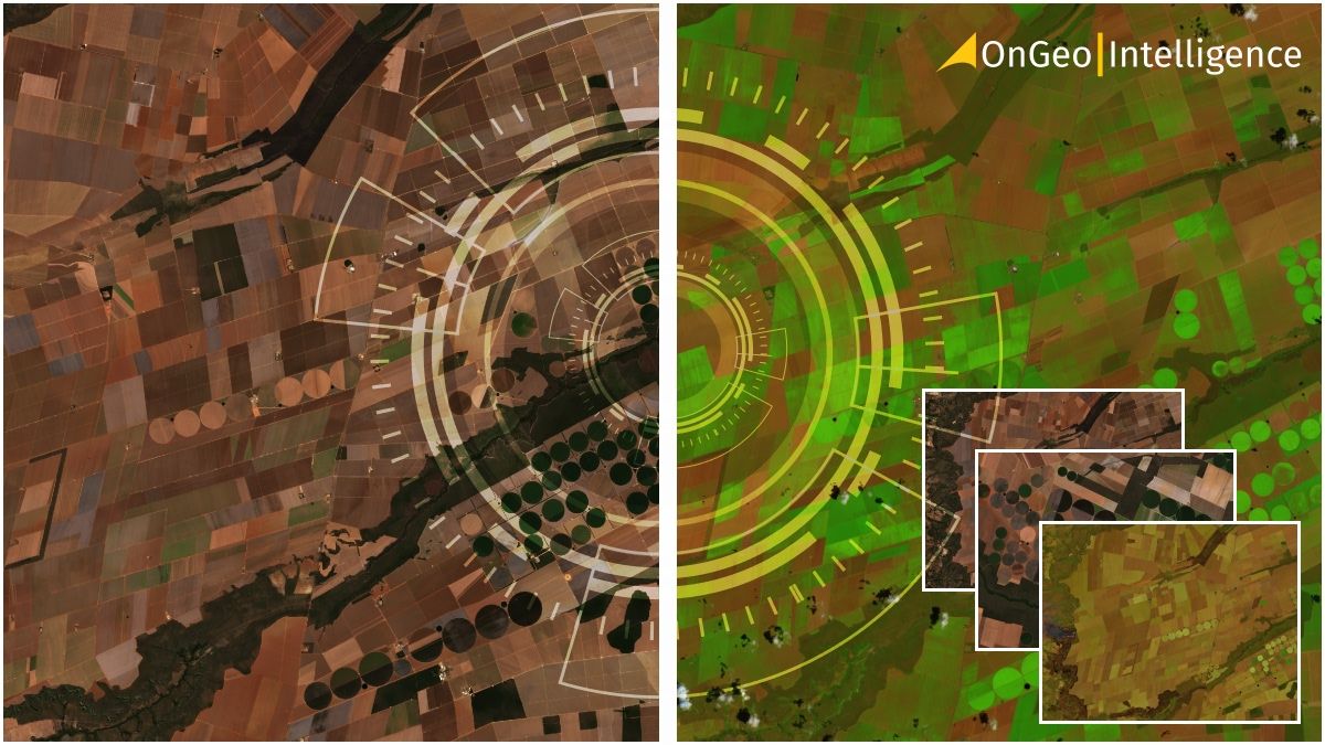 Step-by-Step Guide to Downloading Free Sentinel Data for Your GIS Projects