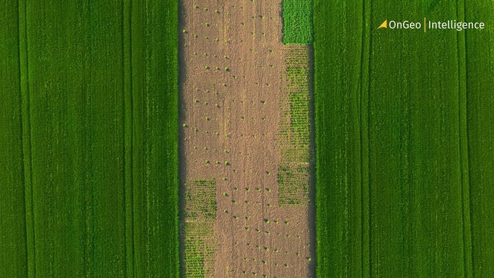 Agricultural farmland depicted on a satellite map, showcasing applications for crop monitoring and smart farming.