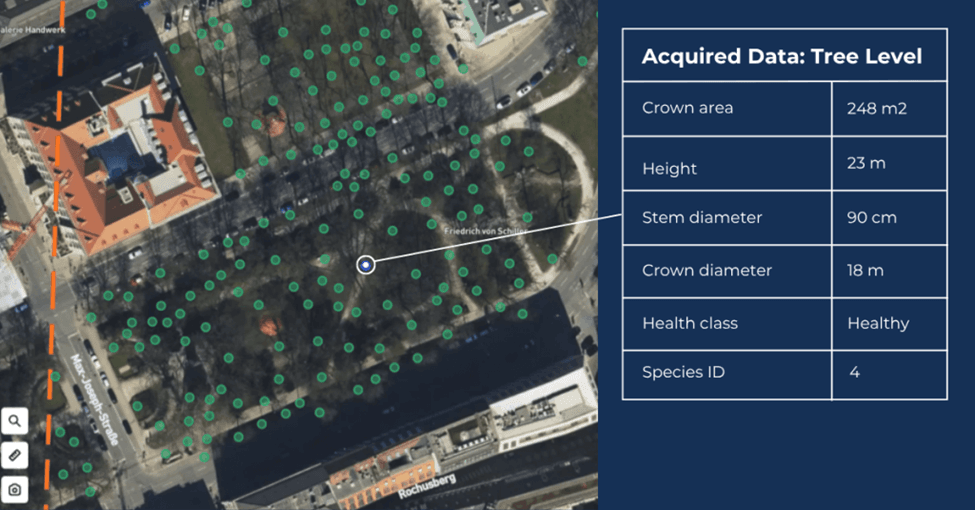 AI-powered tree-level analytics transform satellite imagery into precise measurements of tree height, crown, species, and health