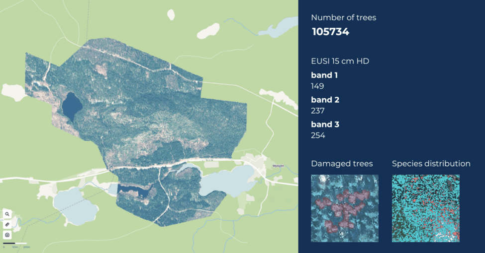 Advanced satellite analytics dashboard visualizing forest health, tree population, and species distribution using high-resolution 15 cm HD imagery.
