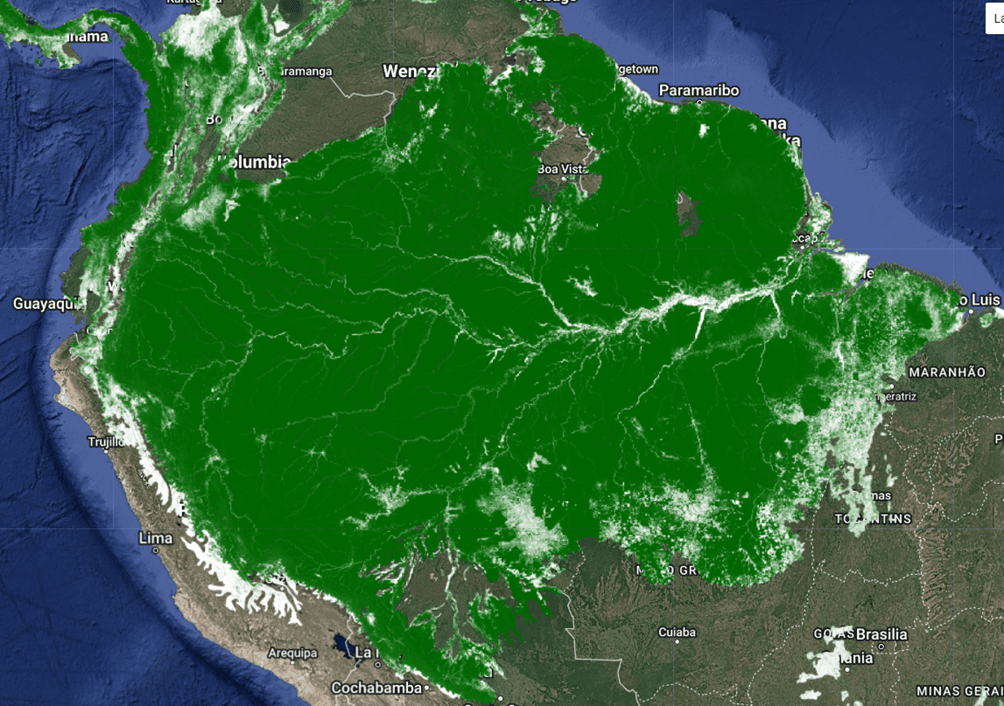 The extent of the Amazon forest as seen from space