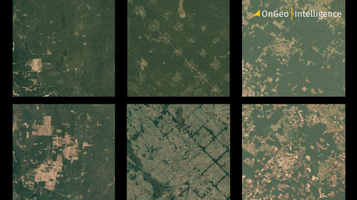 How Satellite Imagery Supports Forest Management