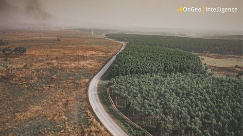 How Satellites are Becoming Our Best Weapon Against Deforestation.