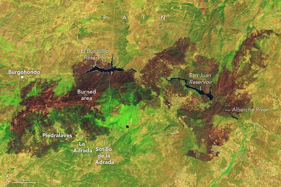 Charred landscapes surround reservoirs in central Spain in an image on July 29, 2026